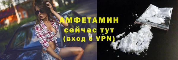 МДПВ Пересвет