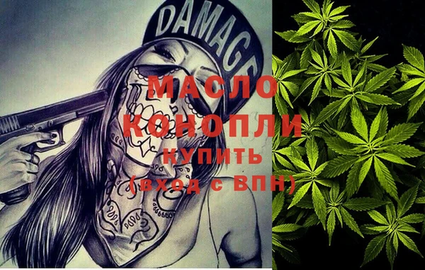 МДПВ Пересвет