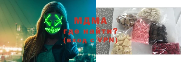 МДПВ Пересвет