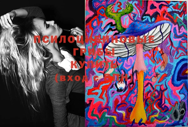 ПСИЛОЦИБИНОВЫЕ ГРИБЫ Абинск